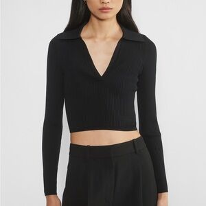 Aritzia Babaton Sculpt Knit Polo Longsleeve